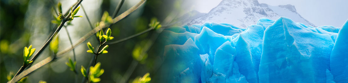 Cámara Frigorífica Doble Climatización
