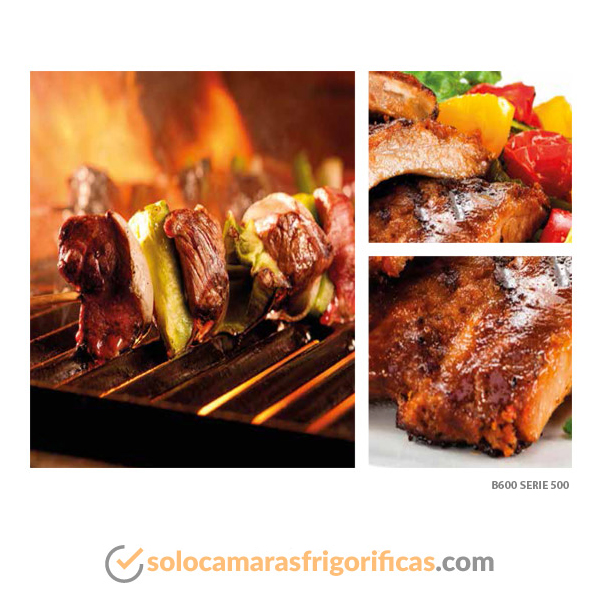 Imagen comida barbacoa B600 serie 500