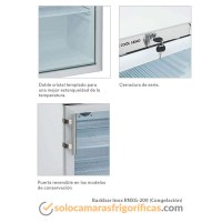 Detalles Armario Expositor Congelación Backbar Inox RNXG 200