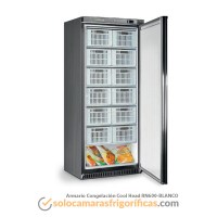 Armario Congelación Cool Head RN600 BLANCO