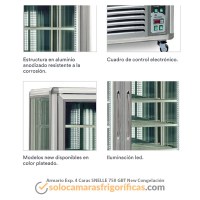 Detalles Armario Expositor Congelación 4 Caras SNELLE 750 GBT New