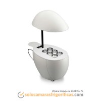 Vitrina Expositora Helados - BERRY 6-7L (Carrito Helados)