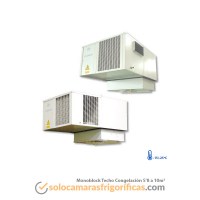 Monoblock Techo Congelación 5'8-10m3